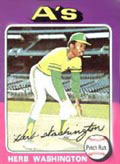 Herb Washington