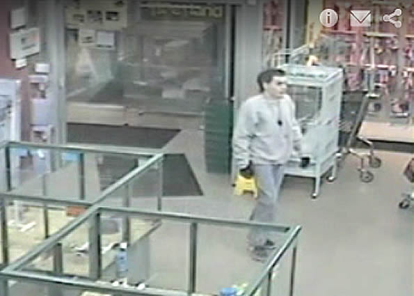 Puppy Suspect Petland Hoffman Estates Yorkshire Terrier theft security video Petland