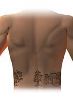 sandiego_back_tattoos