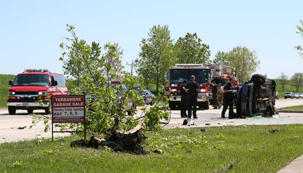 second-tree-hit-by-car