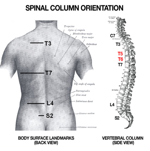 spinal-orientation