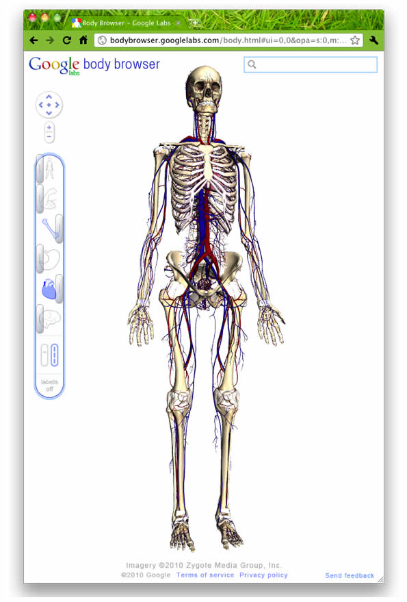Human Body Map: Google Labs ‘Body Browser’ Does for Body What Google