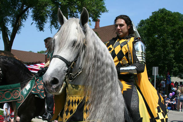 MedievalTimes