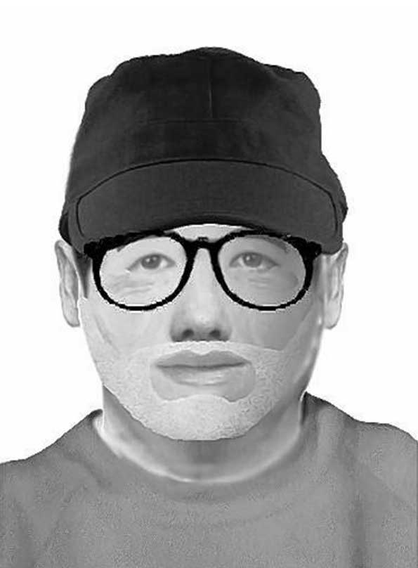 Naperville Burglary Suspect Police Sketch