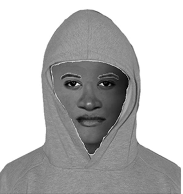 Naperville carjacking police sketch