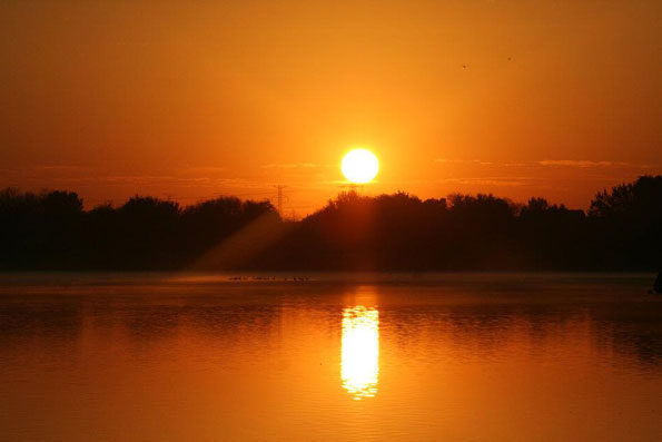 Lake Arlington Sunrise
