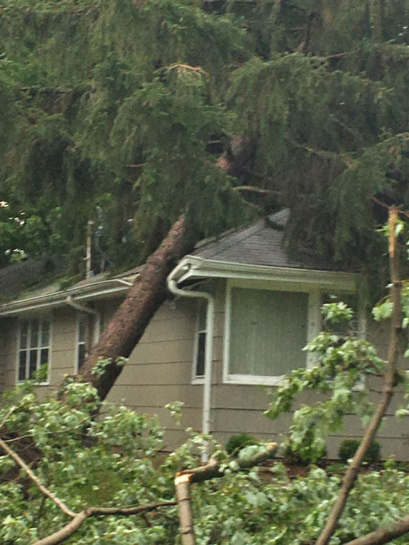 Tree on a house Itasca (PHOTO CREDIT: Itasca Fire Department PIO Franco Giovannelli).