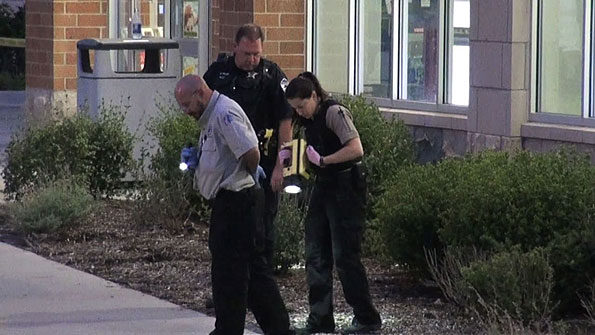 Evidence collection in bushes at Schaumburg Walgreens shooting.