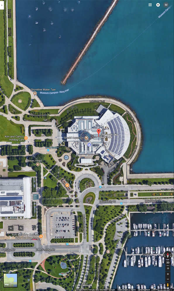 Shedd Aquarium Aerial View