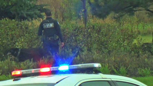 K-9 search at Higgins Road and Route 53 after armed robbery a Deer Park AT&T store