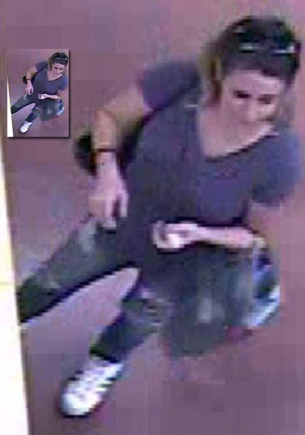 Female Theft Suspect Trader Joe's Arlington Heights