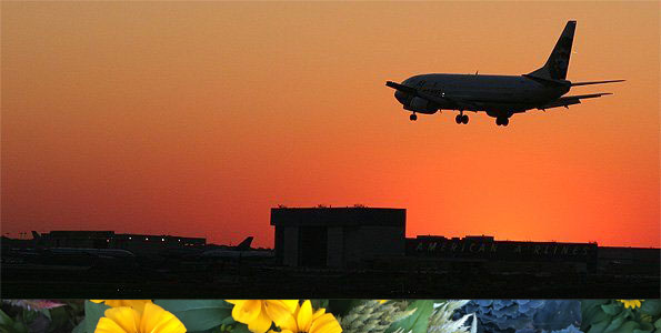 Aircraft landing at O'Hare International Airport