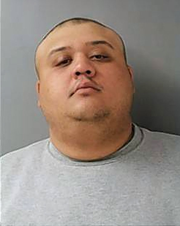Alan Ely, ruse burglary suspect, Barrington Hills