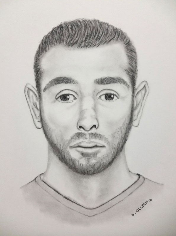Mount Prospect attempted child luring suspect sketch