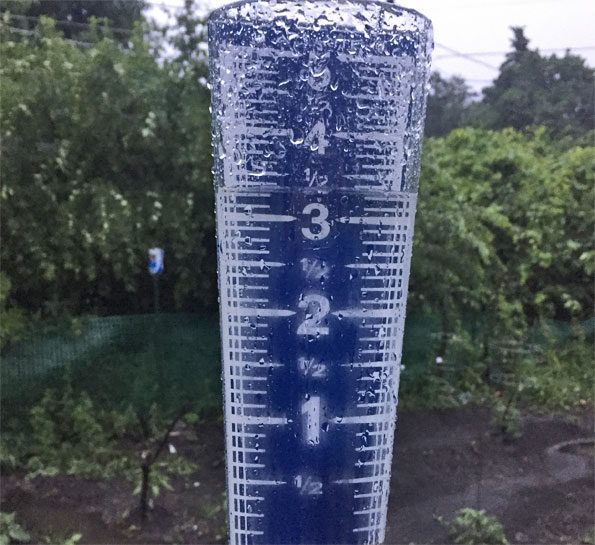Rain Gauge Arlington Heights