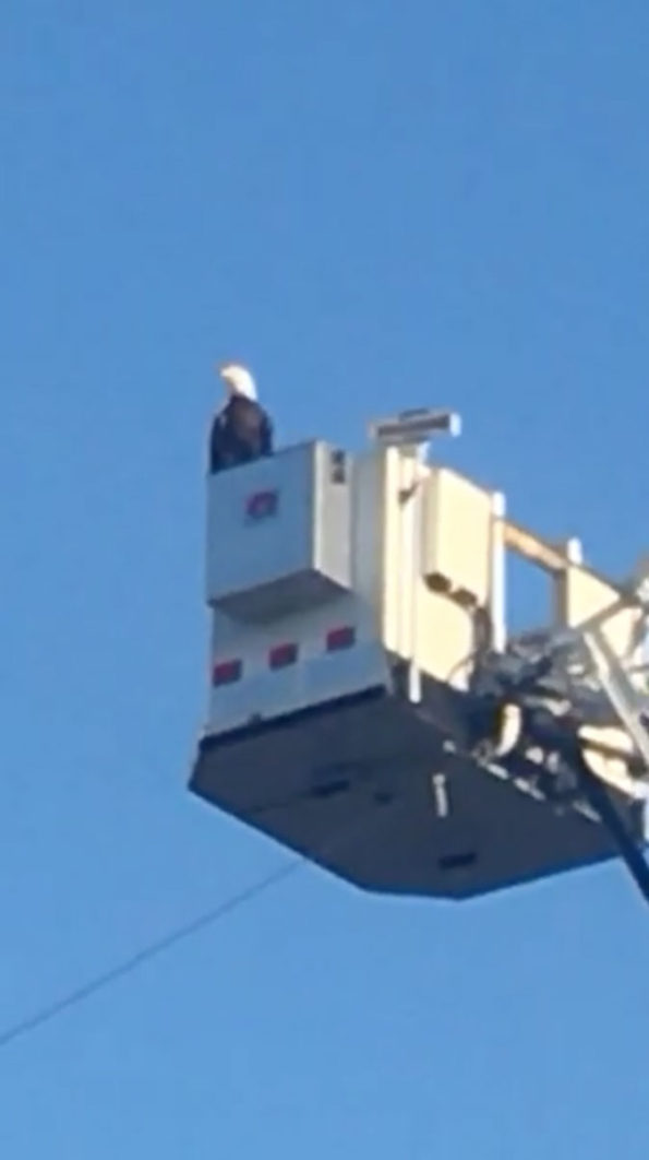 Eagle on Aerial Andover Fire Department