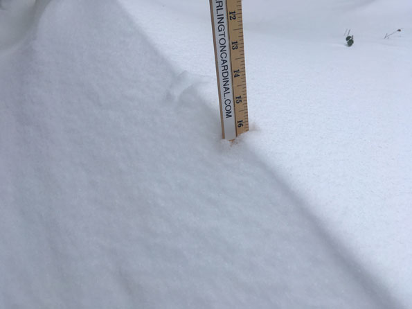 Sample Snow Drift Depth Measurement Arlington Heights Saturday January 19, 2019