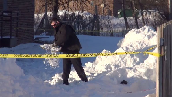 Snow collapse investigation Arlington Heights