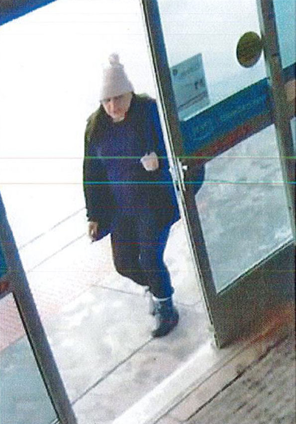 Accomplice in wallet theft case at Whole Foods Schaumburg