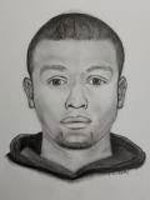 Mount Prospect Police burglary suspect sketch February 2019.