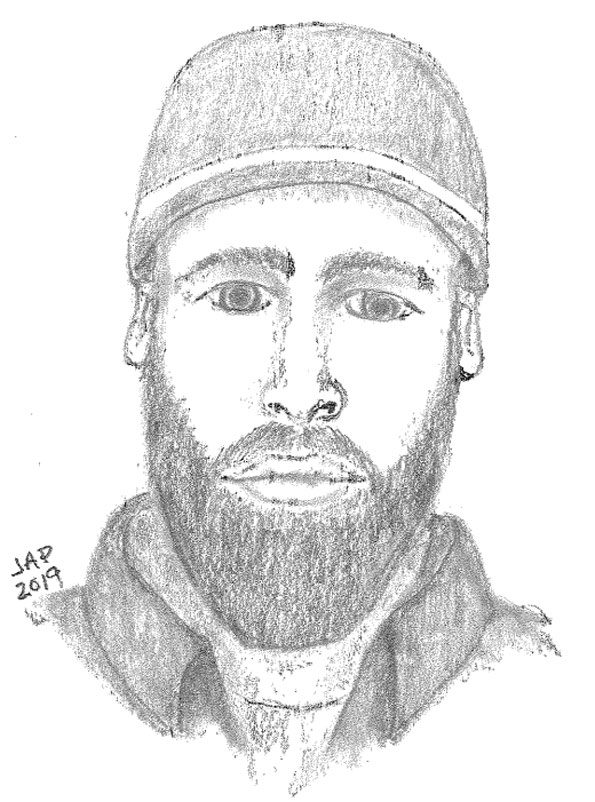 Attempted Child Luring and Disorderly Conduct suspect Arlington Heights