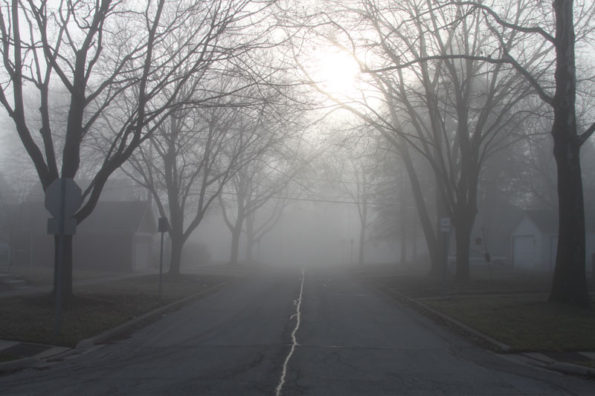 Fog Rec Park neighborhood