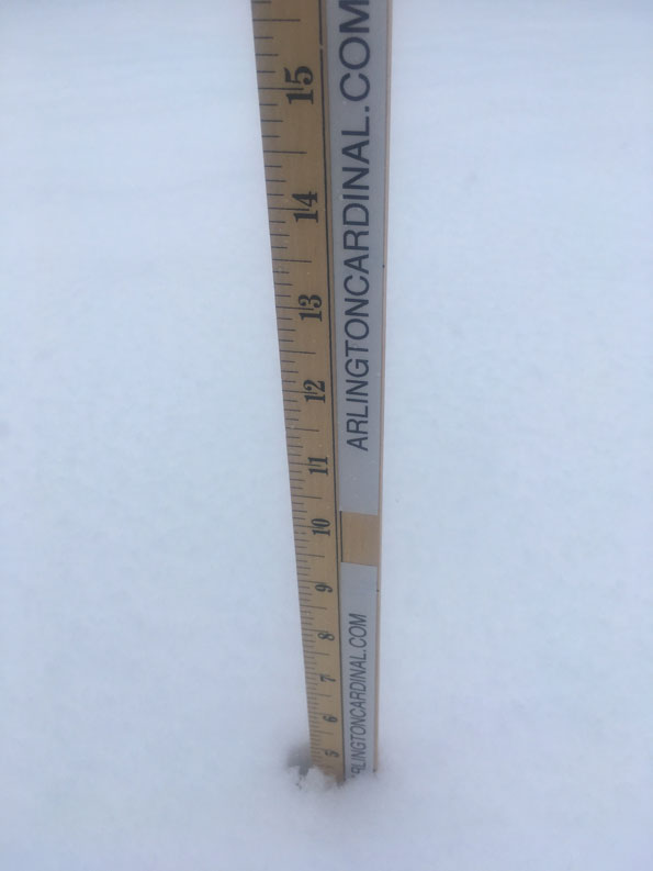 Snow accumulation 5 inches on grass April 14 2019