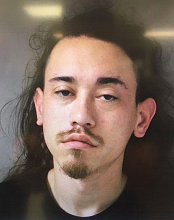 Zachary Woelfel, illegal drug suspect and felon with gun Schaumburg 