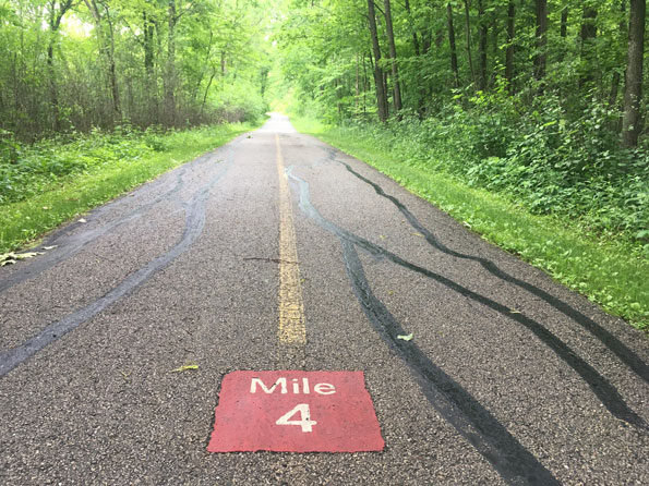 Mile Post 4 Busse Woods