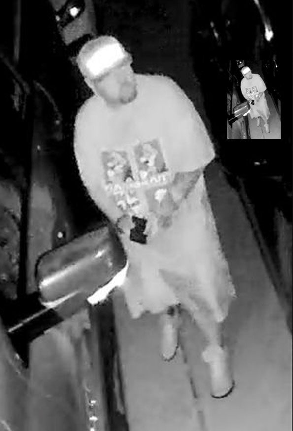 Gurnee vehicle burglary suspect