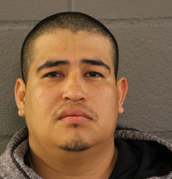 Garcia Rumaldo, domestic aggravated battery suspect Elk Grove Township