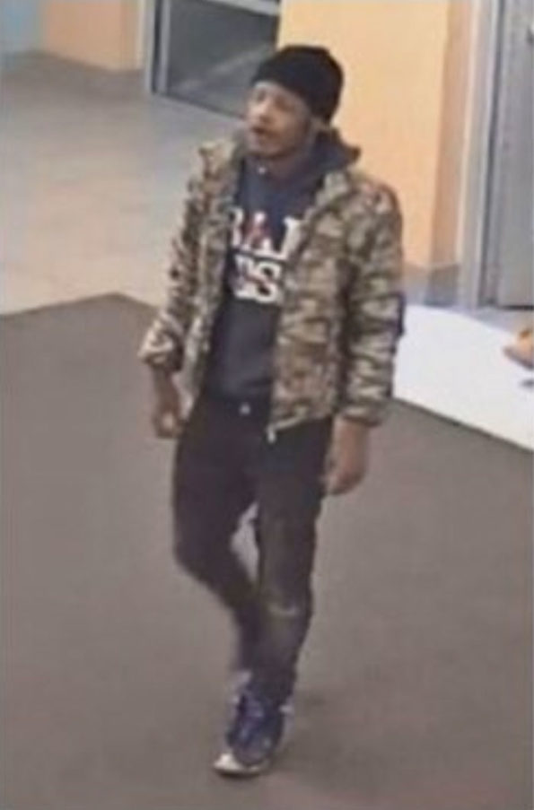 MonCler retail theft "flash mob" robbery suspects at Fashion Outlets of Chicago Mall in Rosemont