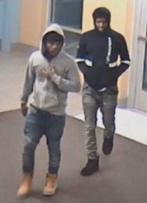 MonCler retail theft "flash mob" robbery suspects at Fashion Outlets of Chicago Mall in Rosemont