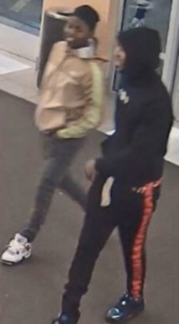 MonCler retail theft "flash mob" robbery suspects at Fashion Outlets of Chicago Mall in Rosemont