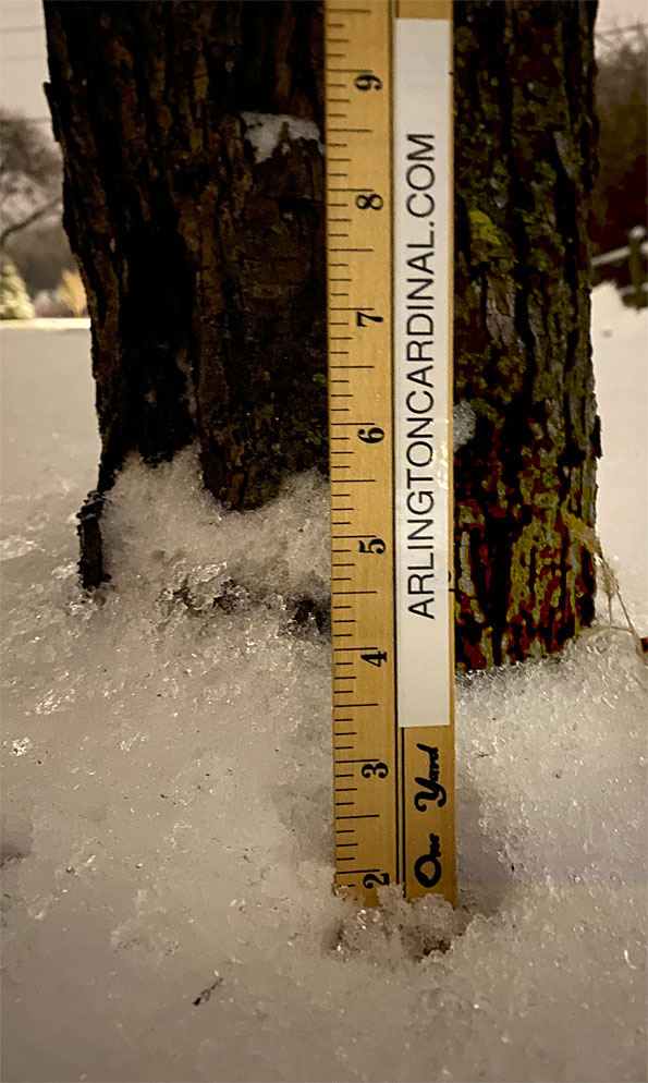 Possible early snow depth marked before collapse on tree trunk about 4:47 a.m. Saturday January 18, 2020