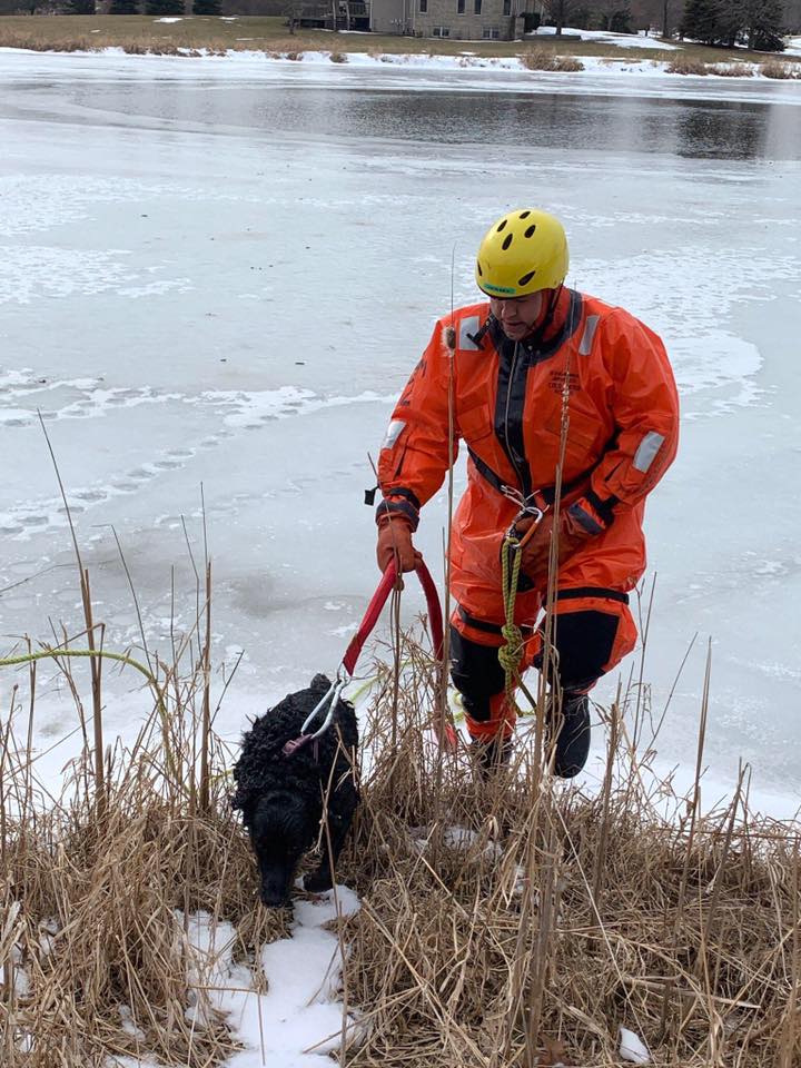 Hawthorn Woods Dog Rescue (SOURCE: Lake Zurich Fire Rescue)