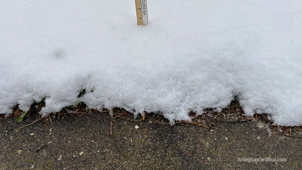Snowfall 3.5 inches in Arlington Heights on Friday, April 17, 2020 with snow still falling but no accumulation on paved surfaces