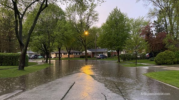 Flooded street on Lynnwood Avenue near Thomas Street in Arlington Heights