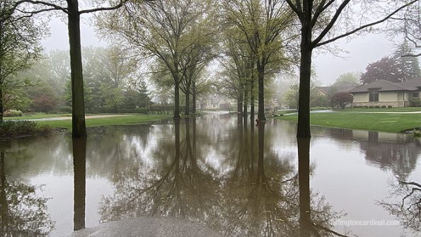 Flooded street and yards on Rollings Lane near Euclid Avenue in Arlington Heights