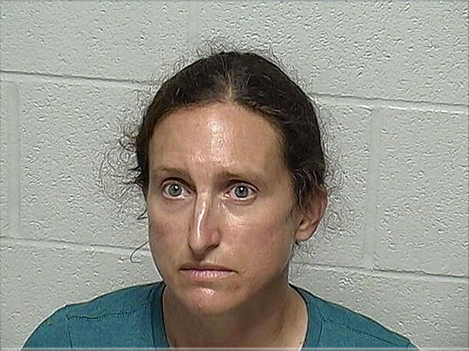 Elizabeth H. Mach, battery and disorderly conduct suspect Mettawa, Lake County