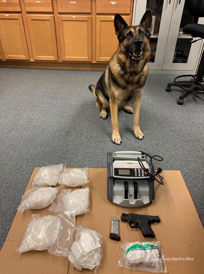 K9 Duke after discovery of 5 LBS of meth (SOURCE: Lake County Sheriff's Office)
