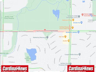 Crash Map Lake Cook Road and Ridge Avenue, Arlington Heights on Thursday, October 29, 2020 (Map data ©2020 Google)