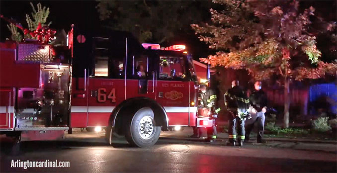 Des Plaines Tree Set on Fire on Walnut Avenue west of Graceland Avenue in Des Plaines