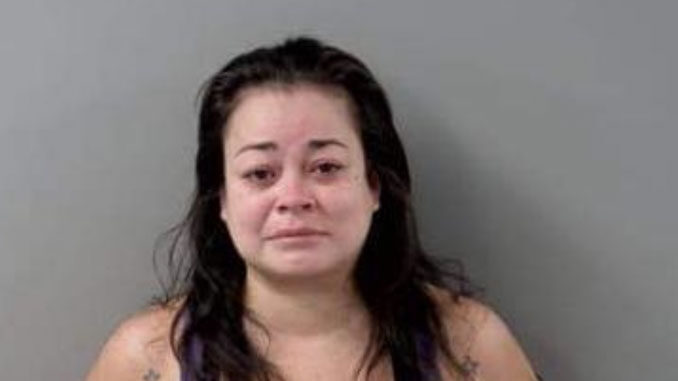 Lisa N. Shader, suspect in Disorderly Conduct/Making False Police Report case in Crystal Lake (SOURCE: Crystal Lake Police Department)