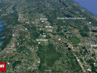 Ocala National Forest (Imagery ©2020 Landsat / Copernicus, Google, TerraMetrics, Data SIO, NOAA, U.S. Navy, NGA, GEBCO, Imagery ©2020 TerraMetrics, Map data ©2020 Google United States)