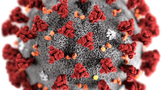 Illustration, created by Alissa Eckert, MS; Dan Higgins, MAM at the Centers for Disease Control and Prevention (CDC) Illustration, created by Alissa Eckert, MS; Dan Higgins, MAM at the Centers for Disease Control and Prevention (CDC)