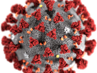 This illustration, created by Alissa Eckert, MS; Dan Higgins, MAM at the Centers for Disease Control and Prevention (CDC), reveals ultrastructural morphology exhibited by coronaviruses. Note the spikes that adorn the outer surface of the virus, which impart the look of a corona surrounding the virion, when viewed electron microscopically. A novel coronavirus, named Severe Acute Respiratory Syndrome coronavirus 2 (SARS-CoV-2), was identified as the cause of an outbreak of respiratory illness first detected in Wuhan, China in 2019. The illness caused by this virus has been named coronavirus disease 2019 (COVID-19)