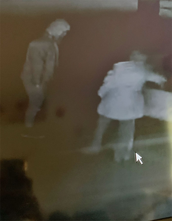 Suspects of Trump-Pence sign defacement in Arlington Heights, 3:48 a.m. to 3:55 a.m. Sunday, October 25, 2020