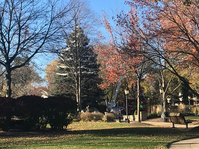 Christmas Tree or Holiday Tree setup for 2020 at North School Park