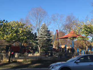 Christmas Tree or Holiday Tree setup for 2020 at North School Park